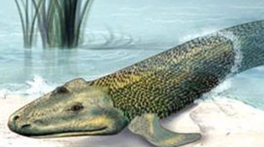 Beynimizi boynumuza bor&ccedil;luymuşuz