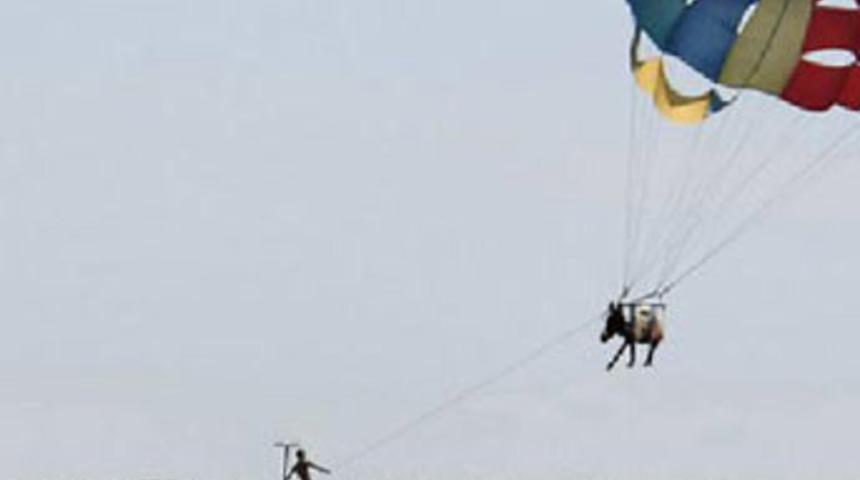 Eşeği paraş&uuml;tle u&ccedil;urdular