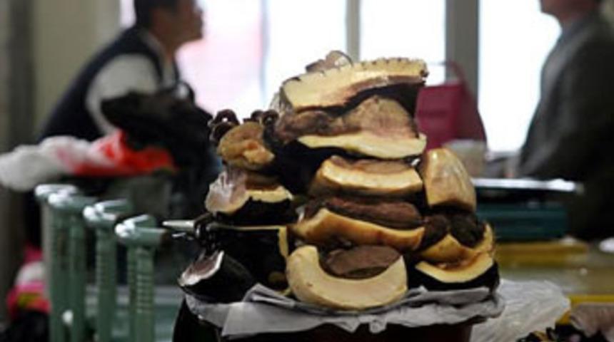 Okul kantinlerinde balina eti