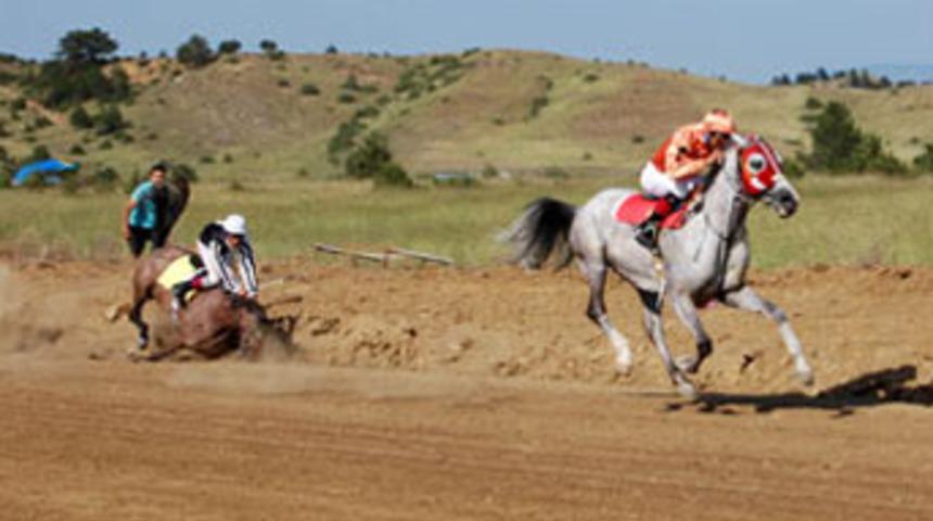 Eyloşum &ouml;ld&uuml; jokeyi yaralandı