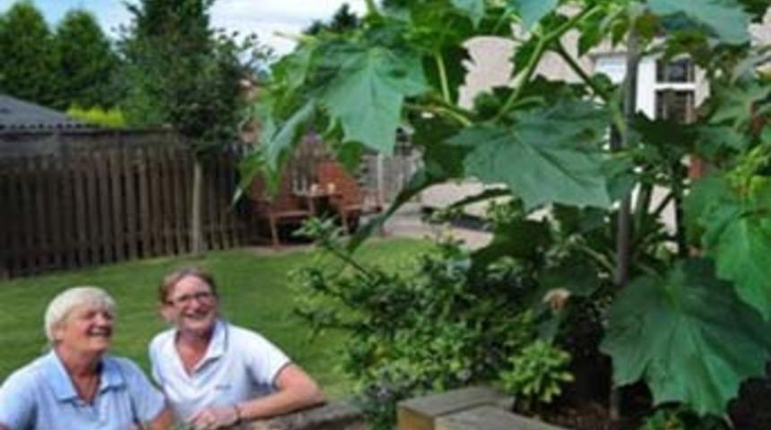 Bah&ccedil;esinden şeytanın borusu &ccedil;ıktı