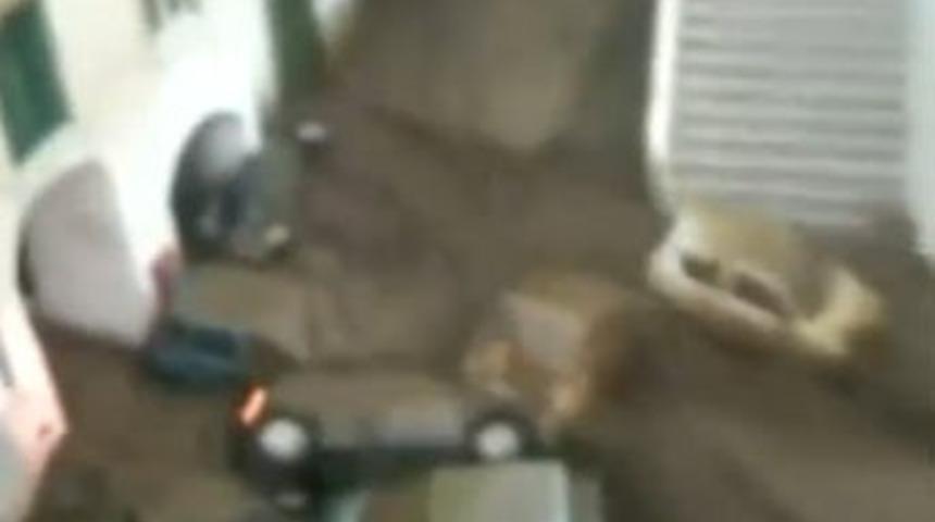 Selden korkun&ccedil; g&ouml;r&uuml;nt&uuml;ler!