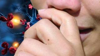 Elinizi burnunuza götürürken bir kez daha düşünün! Meğer tehlikeli hastalık parmaklardan beyne geçiyormuş