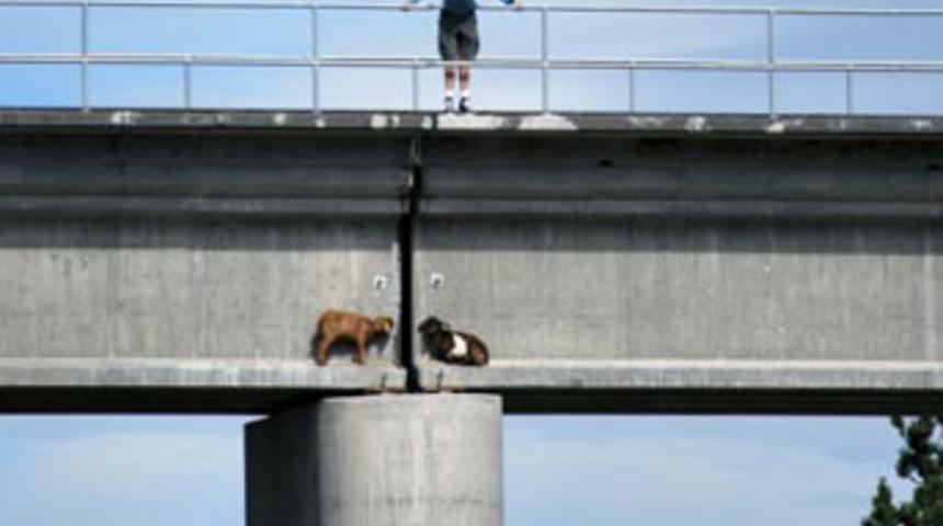 Siz oraya nasıl &ccedil;ıktınız?