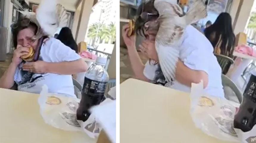 Kadının elindeki hamburgeri almak isteyen güvercin saldırdı! O anlar saniye saniye kaydedildi... Ne olduğunu bile anlayamadı