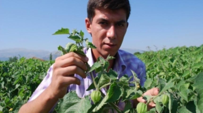 Başbakan aldı hayatı değişti