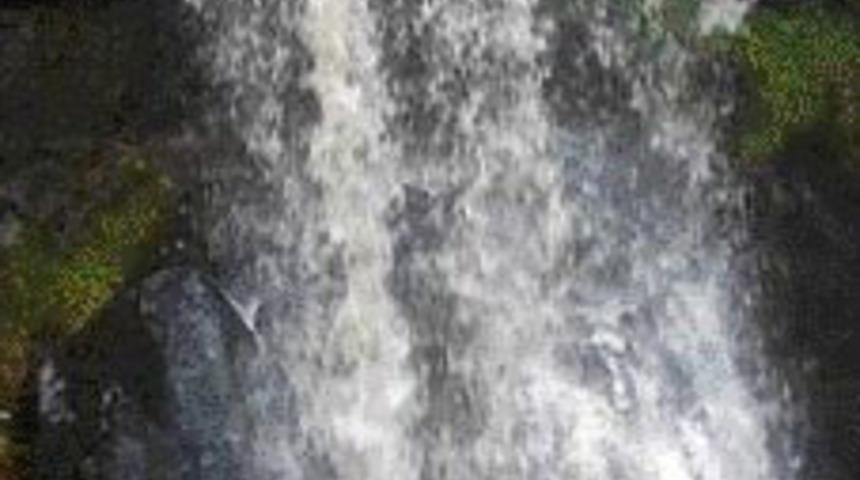 C&uuml;bbeli &ouml;c&uuml; şelaleden &ccedil;ıktı