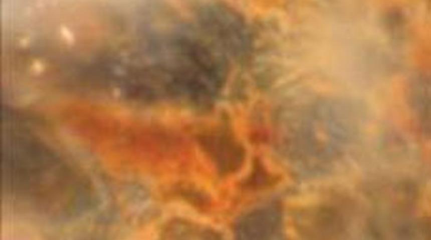 Dinazoru vuran ok bulundu