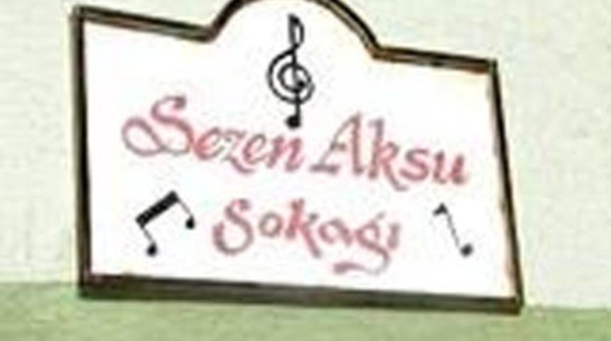 &lsquo;Sezen&rsquo; tabelası faili me&ccedil;hul oldu