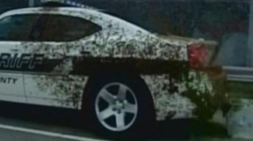 Arılar, polisi &ldquo;rehin aldı&rdquo;