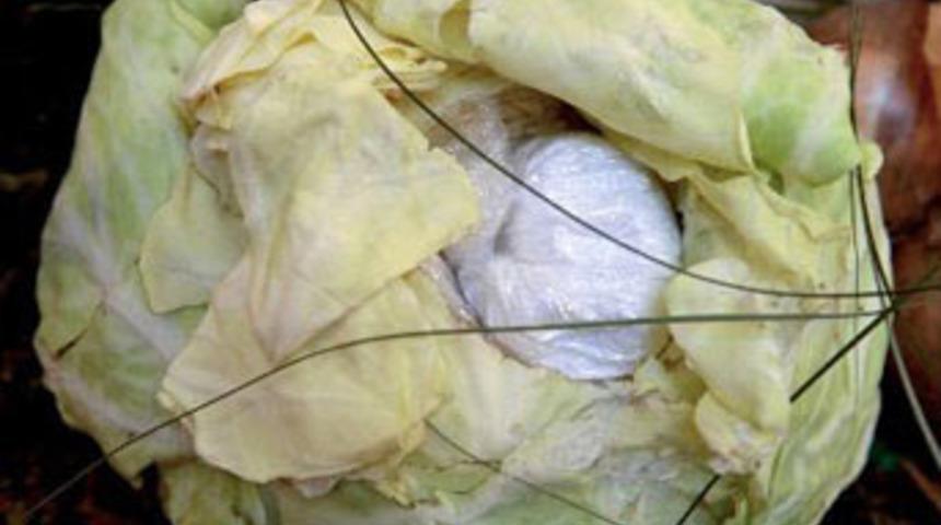 Uyuşturucu nelerle nasıl ka&ccedil;ırılıyor