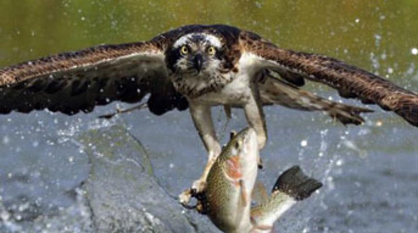 Saniyenin binde birini g&ouml;r&uuml;nt&uuml;ledi