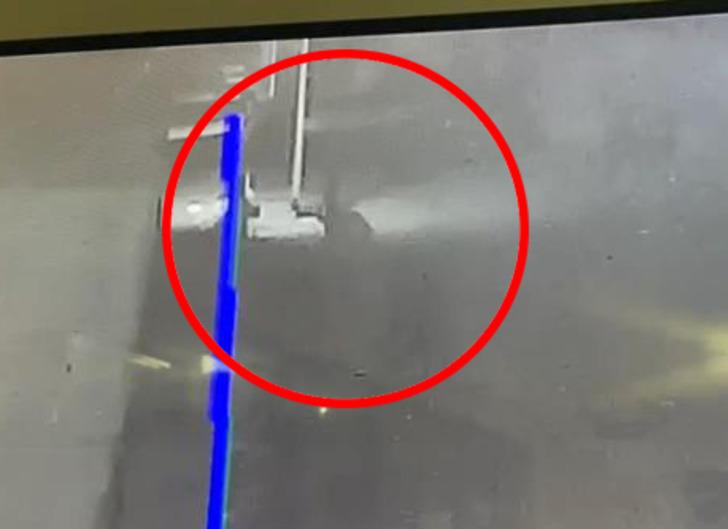 Çamaşır makinesinde kanlı elbiseler bulunmuştu! Baltayla başını parçalayıp, ölüp ölmediğini kontrol için geri dönmüş... 'Bana sarkıntılık' ediyordu diyerek anlattı G5