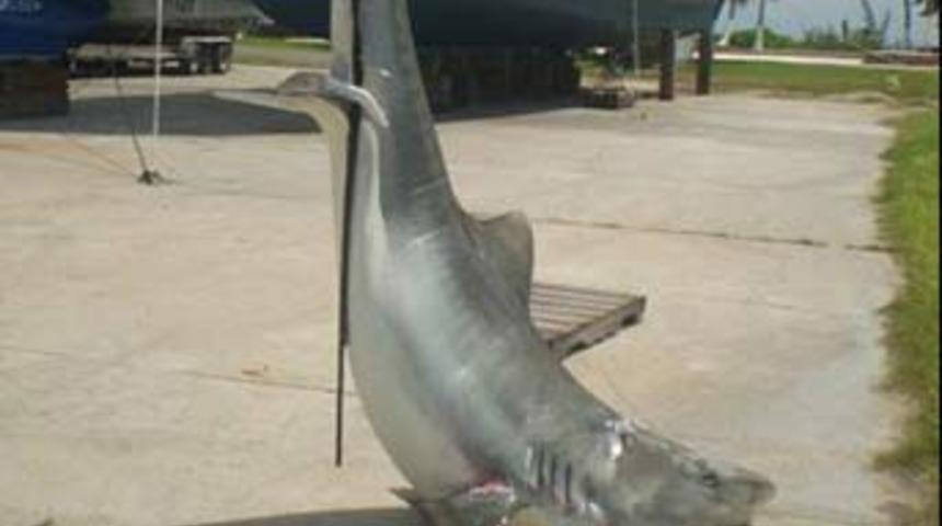 Midesinden &ccedil;ıkanlar şoke etti!