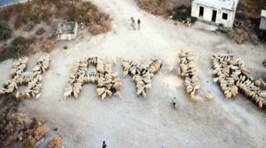 En ilgin&ccedil; "hayır"