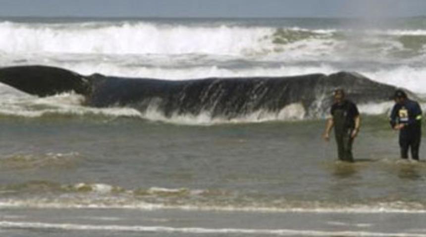 &Ouml;l&uuml;me kafa tutuyor