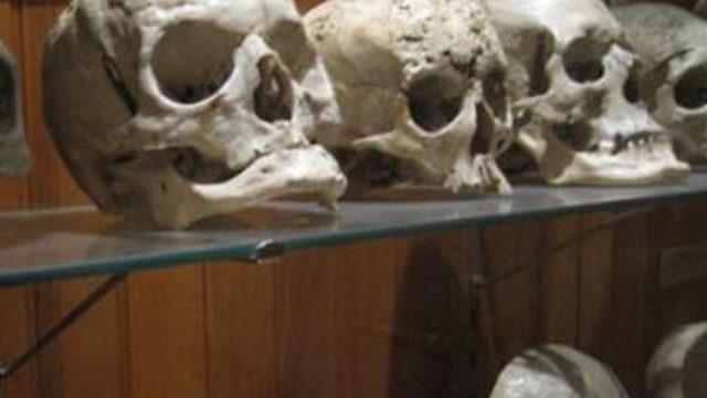 500 yıllık teori çöktü