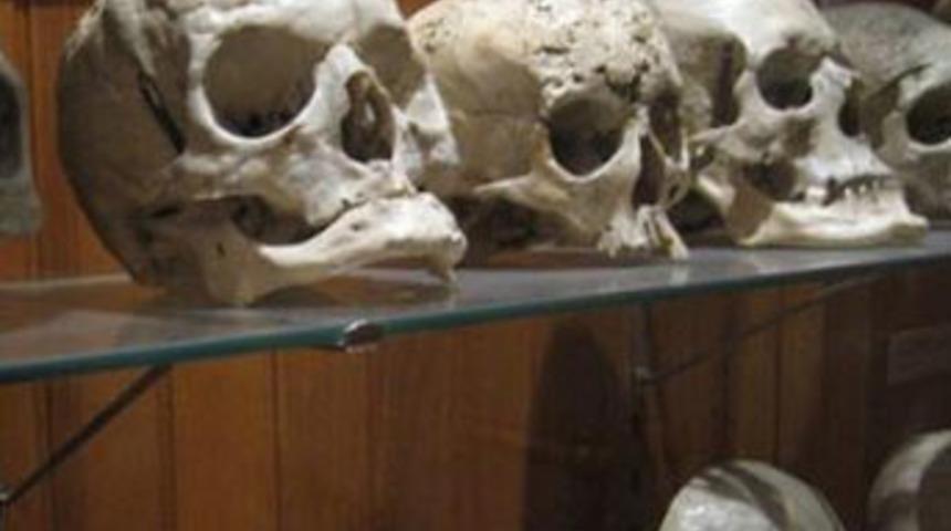 500 yıllık teori &ccedil;&ouml;kt&uuml;