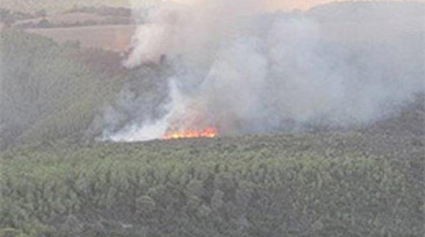 Flaş...40 kişi cayır cayır yandı