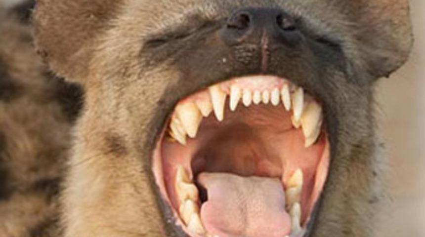 Bilecik'te b&uuml;y&uuml;k panik!