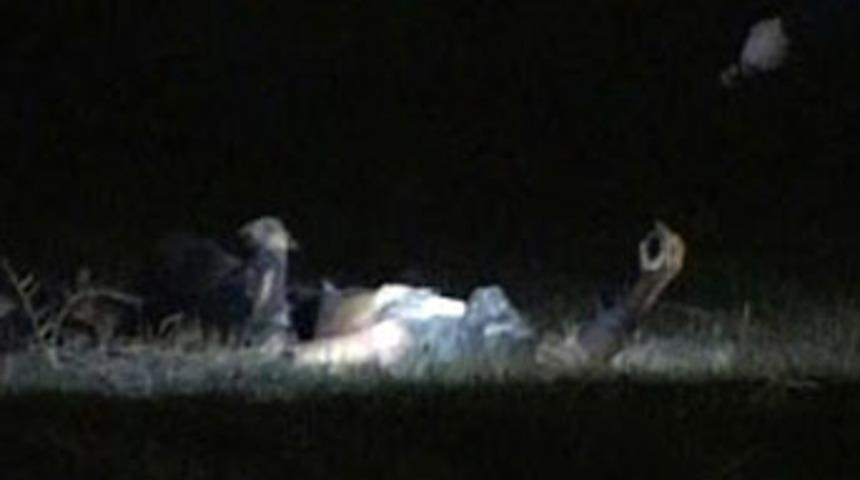 '&Ouml;calan i&ccedil;in kendisini yaktı' iddiası