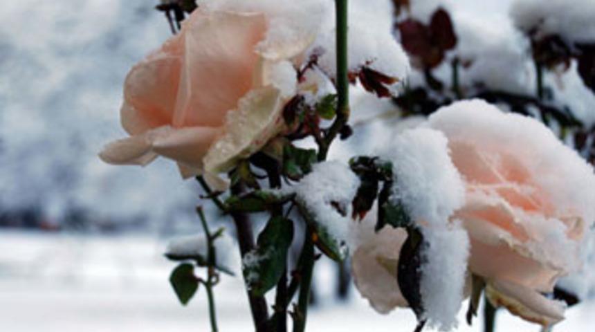 Kış kapıya dayandı, hafta sonu kar geliyor