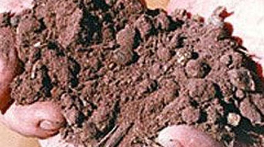 T&uuml;rkiye'nin gizli hazinesi