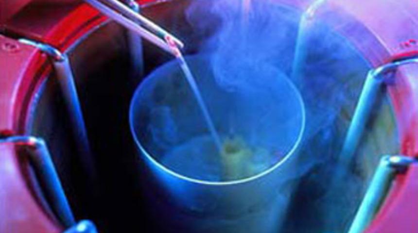 20 yaşında d&uuml;nyaya geldi