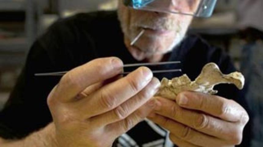 ABD'de 1.4 milyon yıllık fosiller bulundu