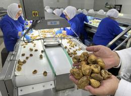 Avrupa'da 4. sırada: Türkiye organik ürün ihracatında 1 milyar dolar sınırını aştı