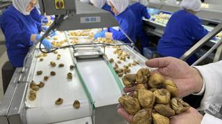 Avrupa'da 4. sırada: Türkiye organik ürün ihracatında 1 milyar dolar sınırını aştı