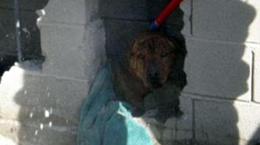 Saatlerce kurtarılmayı bekledi