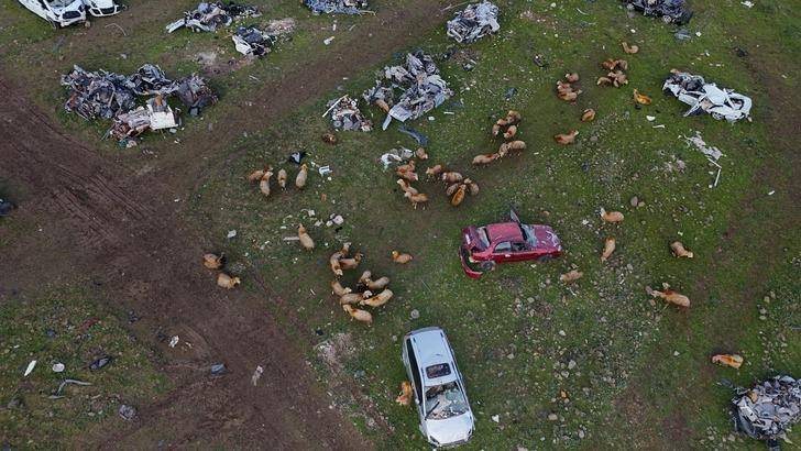 İlginç görüntüler! Hurda araç mezarlığı koyunlara otlak oldu G3