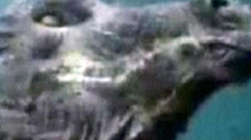 İşte Van G&ouml;l&uuml; Canavarı