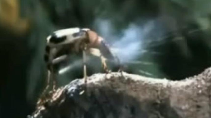 Sadece &ouml;ld&uuml;r&uuml;yor yemiyor