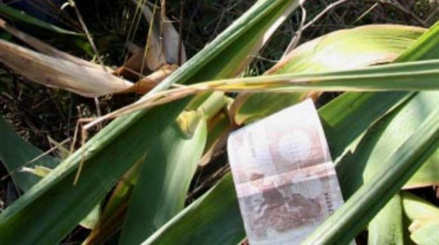 4 milyon dolarlık t&ouml;vbe!