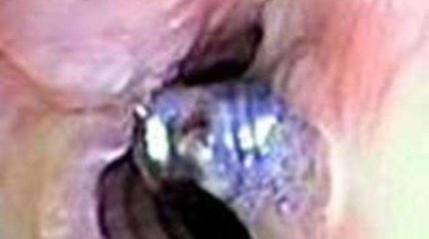 B&ouml;yle ihmal g&ouml;r&uuml;lmedi