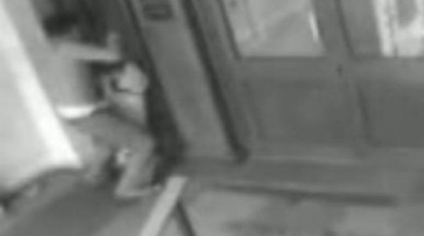 Yavru köpeğe bu yapılır mı?