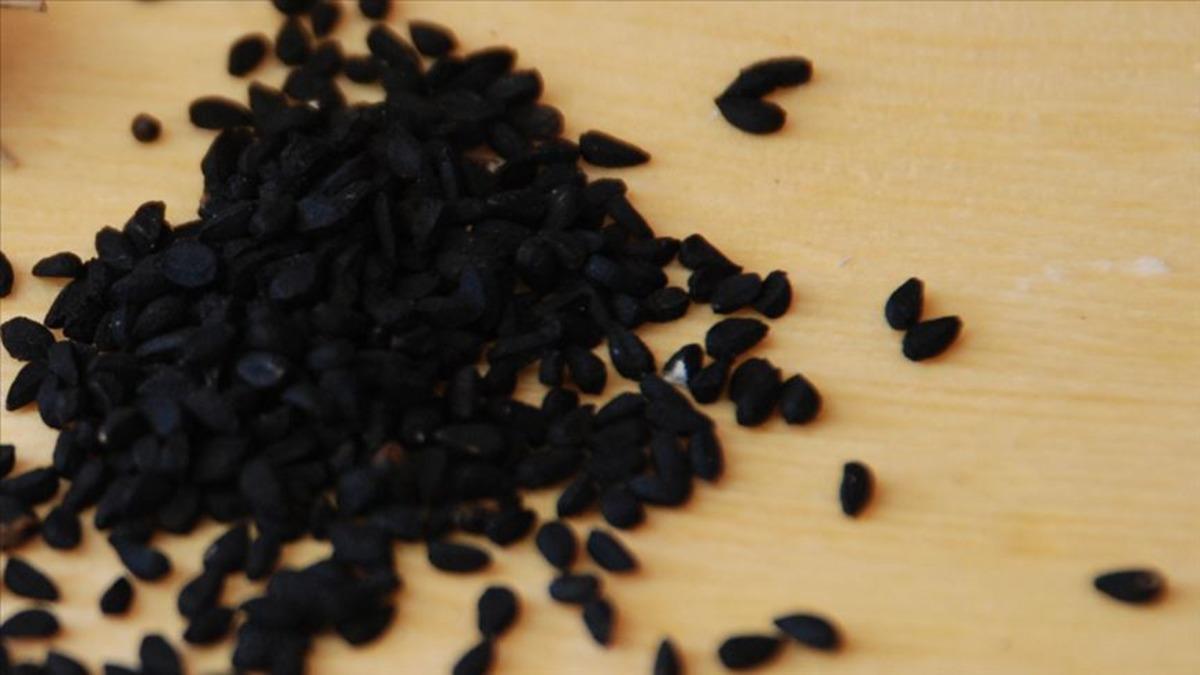 Anadolu&rsquo;nun gizli hazinesi! Tek başına doğal ecza dolabı, değerini bilen az 2