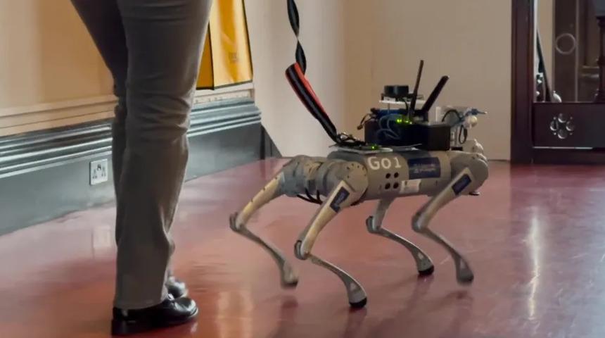 Bilim insanları g&ouml;rme engelli kişiler i&ccedil;in rehber robot k&ouml;pek geliştirdi: Konuşuyor, engelleri aşıyor ve hatırlayabiliyor