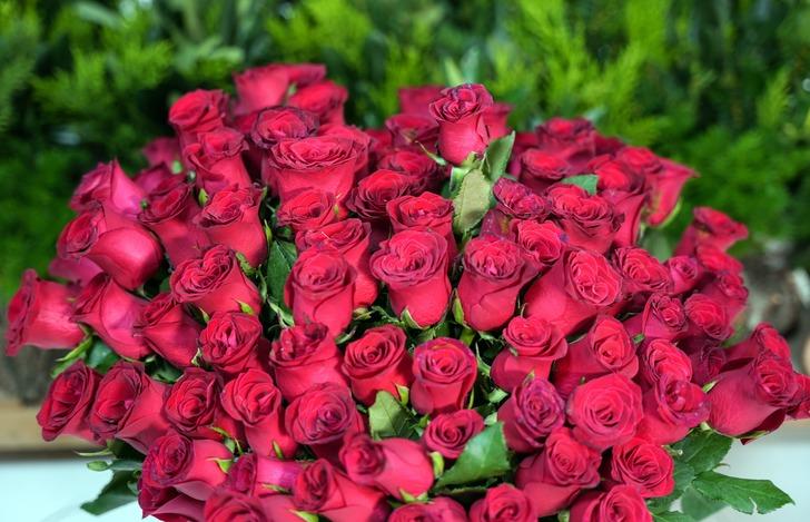 Sevgilisine hediye alacaklar kara kara düşünüyor! Sevgililer Günü gelinceye kadar zam yağdı: En ucuz gül fiyatı dudak uçuklatıyor G1