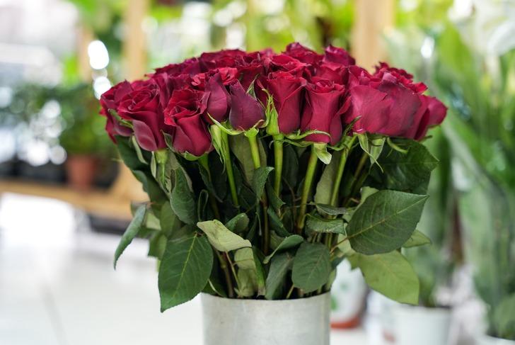 Sevgilisine hediye alacaklar kara kara düşünüyor! Sevgililer Günü gelinceye kadar zam yağdı: En ucuz gül fiyatı dudak uçuklatıyor G4