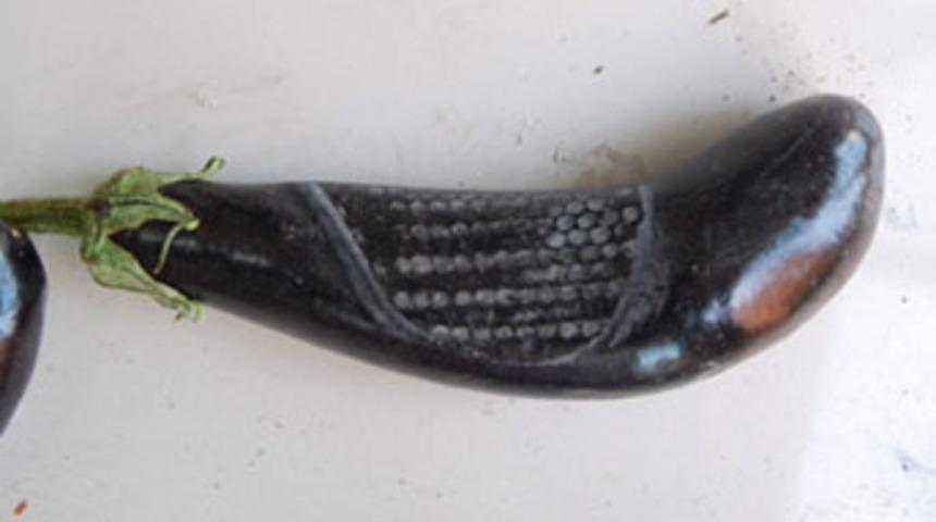 Hırsızları patlıcan yakalattı