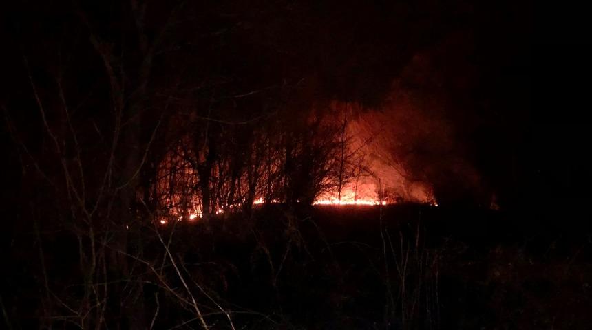 Zonguldak'ta çıkan örtü yangını söndürüldü