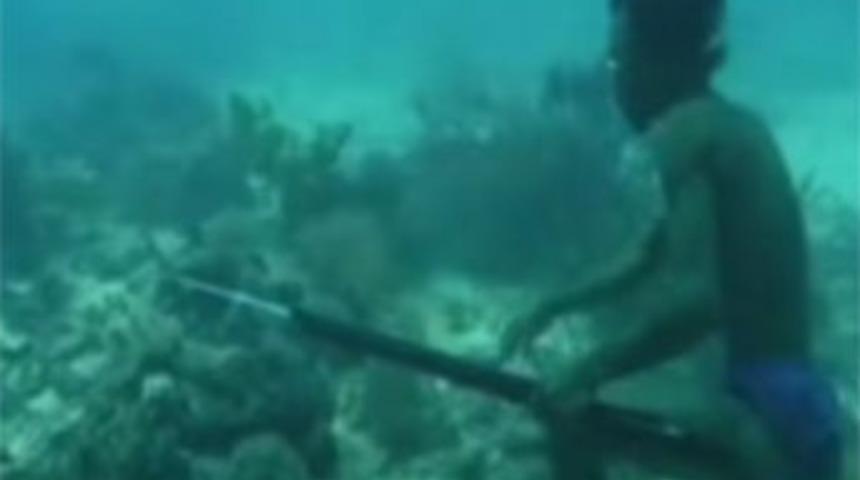 Tek nefesle metrelerce derine daldı