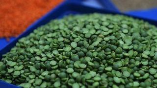 Yeşil mercimekte vergi sıfıra indi