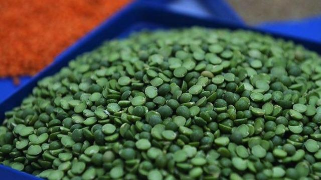 Yeşil mercimekte vergi sıfıra indi