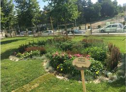 Bakanlık harekete geçti! Susuzluğa karşı yeni önlem: "Yağmur bahçeleri" geliyor