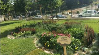 Bakanlık harekete geçti! Susuzluğa karşı yeni önlem: Yağmur bahçeleri geliyor