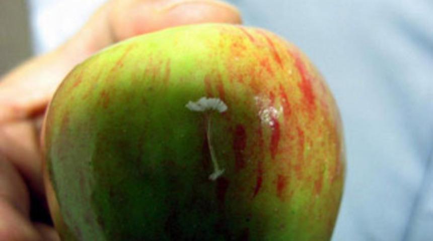 3 bin yılda bir oluyor!